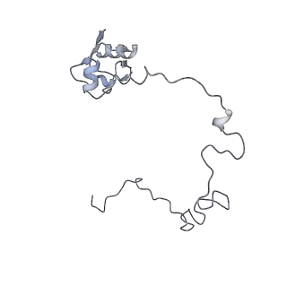 21469_6vyr_u_v1-2
Escherichia coli transcription-translation complex A1 (TTC-A1) containing an 18 nt long mRNA spacer, NusG, and fMet-tRNAs at E-site and P-site