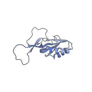 21469_6vyr_v_v1-2
Escherichia coli transcription-translation complex A1 (TTC-A1) containing an 18 nt long mRNA spacer, NusG, and fMet-tRNAs at E-site and P-site