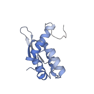 21469_6vyr_w_v1-2
Escherichia coli transcription-translation complex A1 (TTC-A1) containing an 18 nt long mRNA spacer, NusG, and fMet-tRNAs at E-site and P-site
