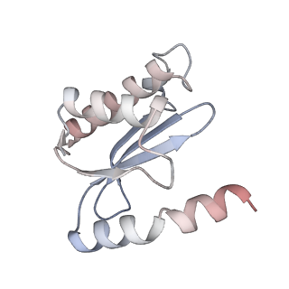 21469_6vyr_x_v1-2
Escherichia coli transcription-translation complex A1 (TTC-A1) containing an 18 nt long mRNA spacer, NusG, and fMet-tRNAs at E-site and P-site