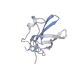 21469_6vyr_y_v1-2
Escherichia coli transcription-translation complex A1 (TTC-A1) containing an 18 nt long mRNA spacer, NusG, and fMet-tRNAs at E-site and P-site