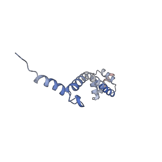 21469_6vyr_z_v1-2
Escherichia coli transcription-translation complex A1 (TTC-A1) containing an 18 nt long mRNA spacer, NusG, and fMet-tRNAs at E-site and P-site