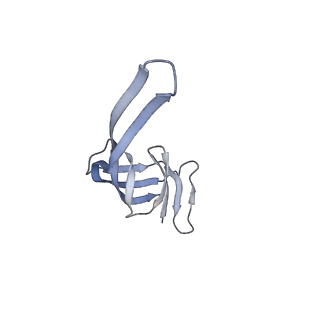 21470_6vys_0_v1-2
Escherichia coli transcription-translation complex A1 (TTC-A1) containing a 21 nt long mRNA spacer, NusG, and fMet-tRNAs at E-site and P-site