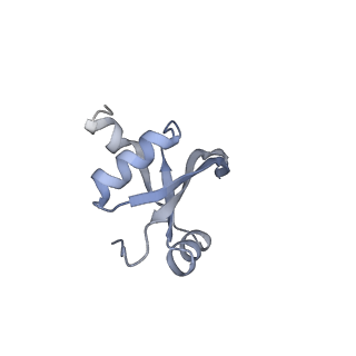 21470_6vys_2_v1-2
Escherichia coli transcription-translation complex A1 (TTC-A1) containing a 21 nt long mRNA spacer, NusG, and fMet-tRNAs at E-site and P-site