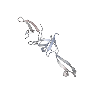 21470_6vys_3_v1-2
Escherichia coli transcription-translation complex A1 (TTC-A1) containing a 21 nt long mRNA spacer, NusG, and fMet-tRNAs at E-site and P-site