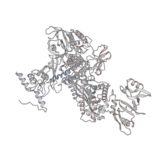 21470_6vys_AA_v1-2
Escherichia coli transcription-translation complex A1 (TTC-A1) containing a 21 nt long mRNA spacer, NusG, and fMet-tRNAs at E-site and P-site