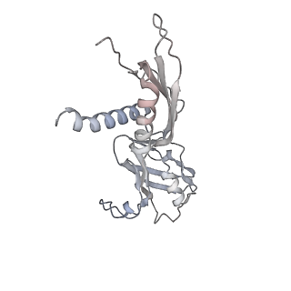 21470_6vys_AC_v1-2
Escherichia coli transcription-translation complex A1 (TTC-A1) containing a 21 nt long mRNA spacer, NusG, and fMet-tRNAs at E-site and P-site