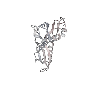 21470_6vys_AD_v1-2
Escherichia coli transcription-translation complex A1 (TTC-A1) containing a 21 nt long mRNA spacer, NusG, and fMet-tRNAs at E-site and P-site