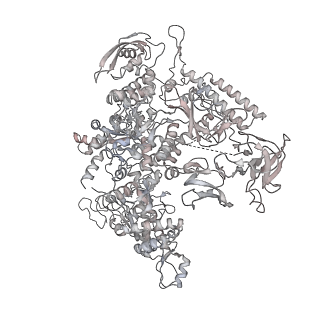 21470_6vys_AE_v1-2
Escherichia coli transcription-translation complex A1 (TTC-A1) containing a 21 nt long mRNA spacer, NusG, and fMet-tRNAs at E-site and P-site