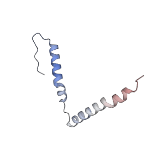 21470_6vys_F_v1-2
Escherichia coli transcription-translation complex A1 (TTC-A1) containing a 21 nt long mRNA spacer, NusG, and fMet-tRNAs at E-site and P-site