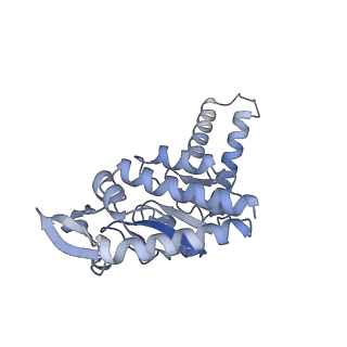 21470_6vys_G_v1-2
Escherichia coli transcription-translation complex A1 (TTC-A1) containing a 21 nt long mRNA spacer, NusG, and fMet-tRNAs at E-site and P-site