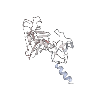21470_6vys_H_v1-2
Escherichia coli transcription-translation complex A1 (TTC-A1) containing a 21 nt long mRNA spacer, NusG, and fMet-tRNAs at E-site and P-site