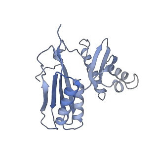 21470_6vys_I_v1-2
Escherichia coli transcription-translation complex A1 (TTC-A1) containing a 21 nt long mRNA spacer, NusG, and fMet-tRNAs at E-site and P-site