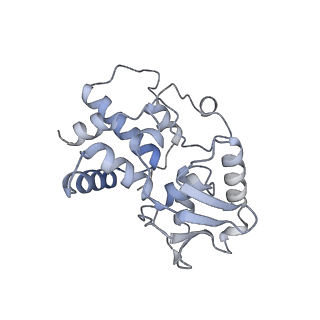 21470_6vys_J_v1-2
Escherichia coli transcription-translation complex A1 (TTC-A1) containing a 21 nt long mRNA spacer, NusG, and fMet-tRNAs at E-site and P-site