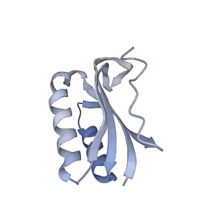 21470_6vys_L_v1-2
Escherichia coli transcription-translation complex A1 (TTC-A1) containing a 21 nt long mRNA spacer, NusG, and fMet-tRNAs at E-site and P-site
