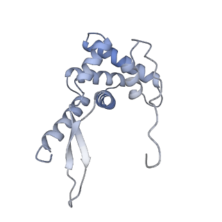 21470_6vys_M_v1-2
Escherichia coli transcription-translation complex A1 (TTC-A1) containing a 21 nt long mRNA spacer, NusG, and fMet-tRNAs at E-site and P-site