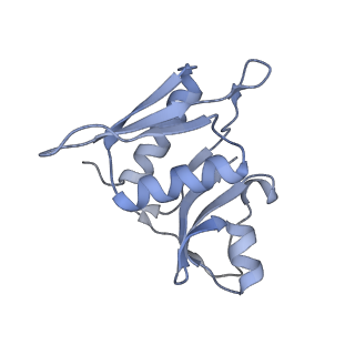 21470_6vys_N_v1-2
Escherichia coli transcription-translation complex A1 (TTC-A1) containing a 21 nt long mRNA spacer, NusG, and fMet-tRNAs at E-site and P-site