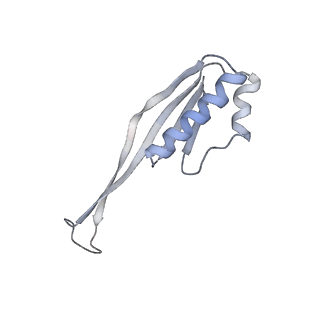 21470_6vys_P_v1-2
Escherichia coli transcription-translation complex A1 (TTC-A1) containing a 21 nt long mRNA spacer, NusG, and fMet-tRNAs at E-site and P-site