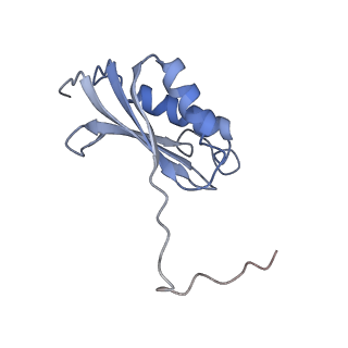 21470_6vys_Q_v1-2
Escherichia coli transcription-translation complex A1 (TTC-A1) containing a 21 nt long mRNA spacer, NusG, and fMet-tRNAs at E-site and P-site