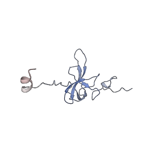 21470_6vys_R_v1-2
Escherichia coli transcription-translation complex A1 (TTC-A1) containing a 21 nt long mRNA spacer, NusG, and fMet-tRNAs at E-site and P-site