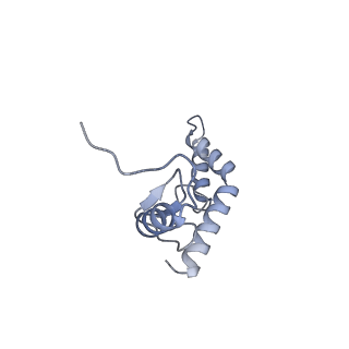 21470_6vys_S_v1-2
Escherichia coli transcription-translation complex A1 (TTC-A1) containing a 21 nt long mRNA spacer, NusG, and fMet-tRNAs at E-site and P-site