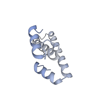 21470_6vys_T_v1-2
Escherichia coli transcription-translation complex A1 (TTC-A1) containing a 21 nt long mRNA spacer, NusG, and fMet-tRNAs at E-site and P-site