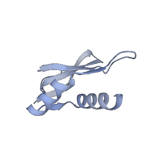21470_6vys_U_v1-2
Escherichia coli transcription-translation complex A1 (TTC-A1) containing a 21 nt long mRNA spacer, NusG, and fMet-tRNAs at E-site and P-site