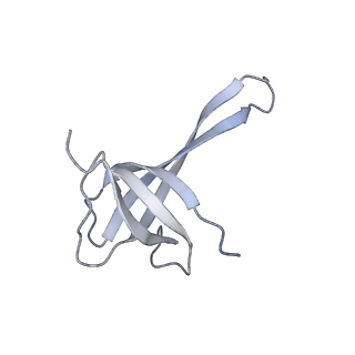 21470_6vys_V_v1-2
Escherichia coli transcription-translation complex A1 (TTC-A1) containing a 21 nt long mRNA spacer, NusG, and fMet-tRNAs at E-site and P-site