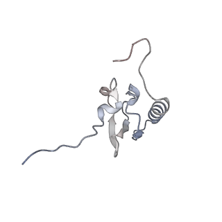 21470_6vys_W_v1-2
Escherichia coli transcription-translation complex A1 (TTC-A1) containing a 21 nt long mRNA spacer, NusG, and fMet-tRNAs at E-site and P-site