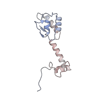 21470_6vys_X_v1-2
Escherichia coli transcription-translation complex A1 (TTC-A1) containing a 21 nt long mRNA spacer, NusG, and fMet-tRNAs at E-site and P-site