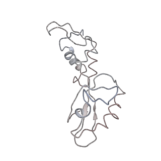 21470_6vys_Y_v1-2
Escherichia coli transcription-translation complex A1 (TTC-A1) containing a 21 nt long mRNA spacer, NusG, and fMet-tRNAs at E-site and P-site