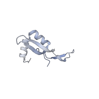 21470_6vys_c_v1-2
Escherichia coli transcription-translation complex A1 (TTC-A1) containing a 21 nt long mRNA spacer, NusG, and fMet-tRNAs at E-site and P-site