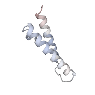 21470_6vys_e_v1-2
Escherichia coli transcription-translation complex A1 (TTC-A1) containing a 21 nt long mRNA spacer, NusG, and fMet-tRNAs at E-site and P-site