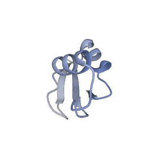 21470_6vys_f_v1-2
Escherichia coli transcription-translation complex A1 (TTC-A1) containing a 21 nt long mRNA spacer, NusG, and fMet-tRNAs at E-site and P-site