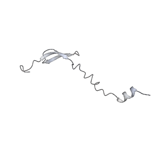 21470_6vys_g_v1-2
Escherichia coli transcription-translation complex A1 (TTC-A1) containing a 21 nt long mRNA spacer, NusG, and fMet-tRNAs at E-site and P-site