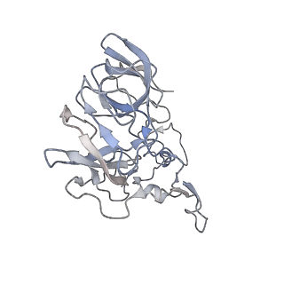 21470_6vys_h_v1-2
Escherichia coli transcription-translation complex A1 (TTC-A1) containing a 21 nt long mRNA spacer, NusG, and fMet-tRNAs at E-site and P-site
