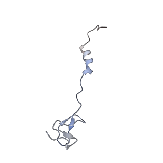 21470_6vys_i_v1-2
Escherichia coli transcription-translation complex A1 (TTC-A1) containing a 21 nt long mRNA spacer, NusG, and fMet-tRNAs at E-site and P-site