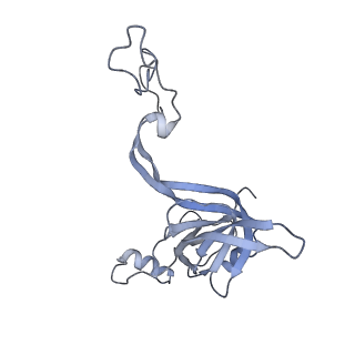 21470_6vys_j_v1-2
Escherichia coli transcription-translation complex A1 (TTC-A1) containing a 21 nt long mRNA spacer, NusG, and fMet-tRNAs at E-site and P-site