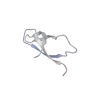 21470_6vys_k_v1-2
Escherichia coli transcription-translation complex A1 (TTC-A1) containing a 21 nt long mRNA spacer, NusG, and fMet-tRNAs at E-site and P-site