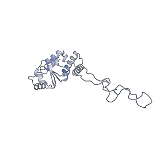 21470_6vys_l_v1-2
Escherichia coli transcription-translation complex A1 (TTC-A1) containing a 21 nt long mRNA spacer, NusG, and fMet-tRNAs at E-site and P-site