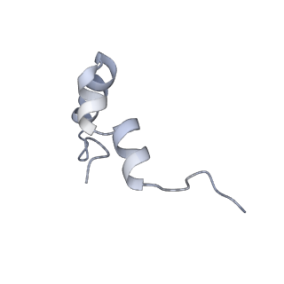21470_6vys_m_v1-2
Escherichia coli transcription-translation complex A1 (TTC-A1) containing a 21 nt long mRNA spacer, NusG, and fMet-tRNAs at E-site and P-site