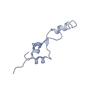 21470_6vys_o_v1-2
Escherichia coli transcription-translation complex A1 (TTC-A1) containing a 21 nt long mRNA spacer, NusG, and fMet-tRNAs at E-site and P-site