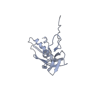 21470_6vys_p_v1-2
Escherichia coli transcription-translation complex A1 (TTC-A1) containing a 21 nt long mRNA spacer, NusG, and fMet-tRNAs at E-site and P-site