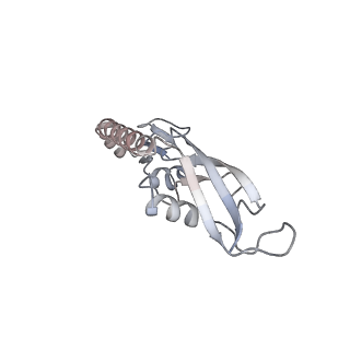 21470_6vys_r_v1-2
Escherichia coli transcription-translation complex A1 (TTC-A1) containing a 21 nt long mRNA spacer, NusG, and fMet-tRNAs at E-site and P-site