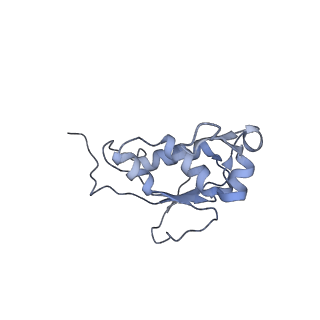 21470_6vys_s_v1-2
Escherichia coli transcription-translation complex A1 (TTC-A1) containing a 21 nt long mRNA spacer, NusG, and fMet-tRNAs at E-site and P-site