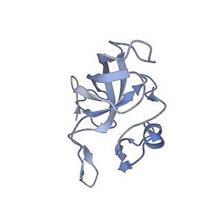 21470_6vys_t_v1-2
Escherichia coli transcription-translation complex A1 (TTC-A1) containing a 21 nt long mRNA spacer, NusG, and fMet-tRNAs at E-site and P-site