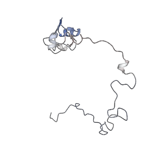 21470_6vys_u_v1-2
Escherichia coli transcription-translation complex A1 (TTC-A1) containing a 21 nt long mRNA spacer, NusG, and fMet-tRNAs at E-site and P-site