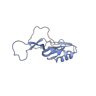 21470_6vys_v_v1-2
Escherichia coli transcription-translation complex A1 (TTC-A1) containing a 21 nt long mRNA spacer, NusG, and fMet-tRNAs at E-site and P-site