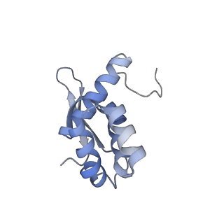 21470_6vys_w_v1-2
Escherichia coli transcription-translation complex A1 (TTC-A1) containing a 21 nt long mRNA spacer, NusG, and fMet-tRNAs at E-site and P-site