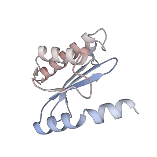 21470_6vys_x_v1-2
Escherichia coli transcription-translation complex A1 (TTC-A1) containing a 21 nt long mRNA spacer, NusG, and fMet-tRNAs at E-site and P-site